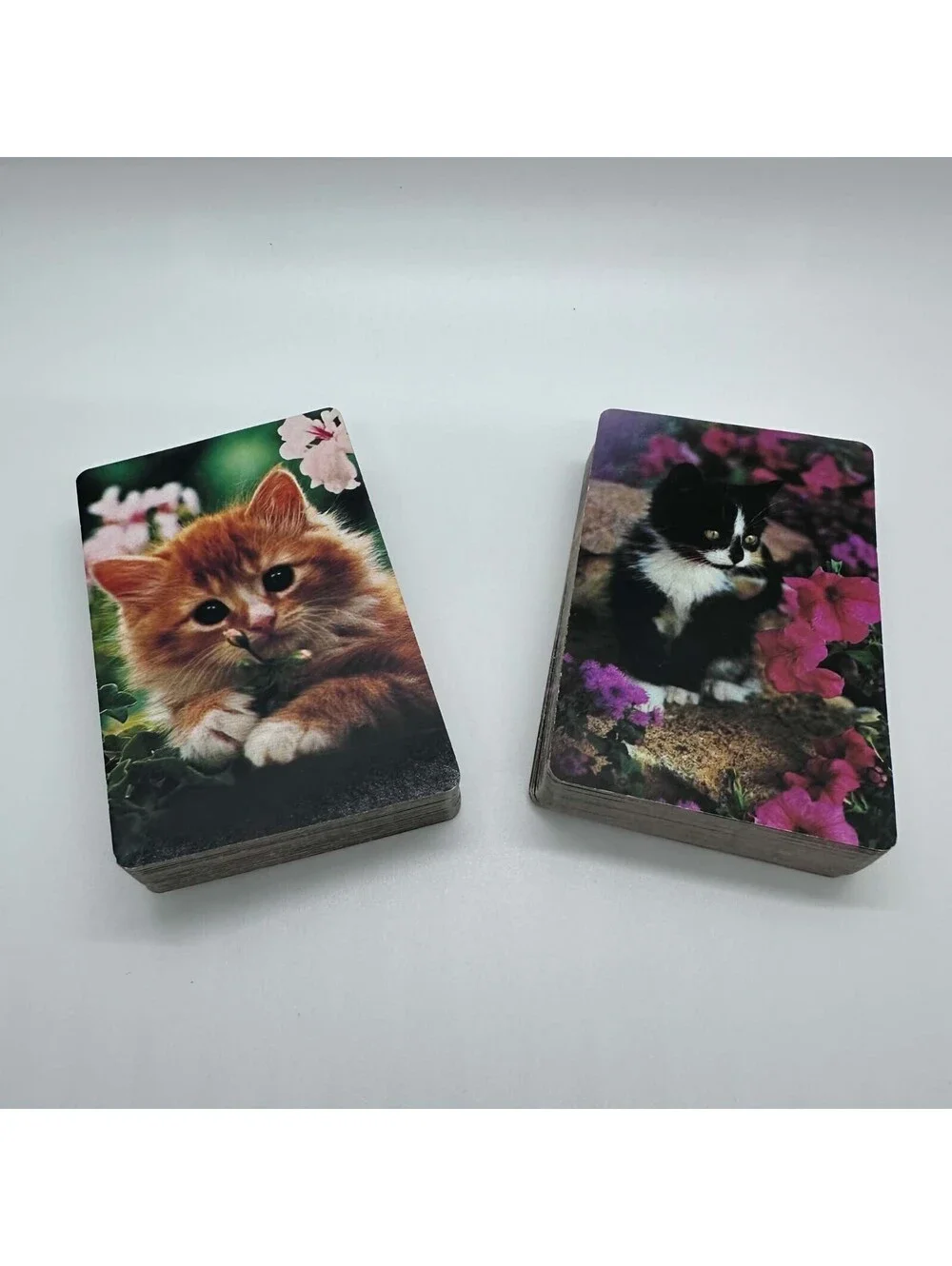 Hallmark Kitten Playing Cards 2 Complete Decks Cat Design Clear Case EUC